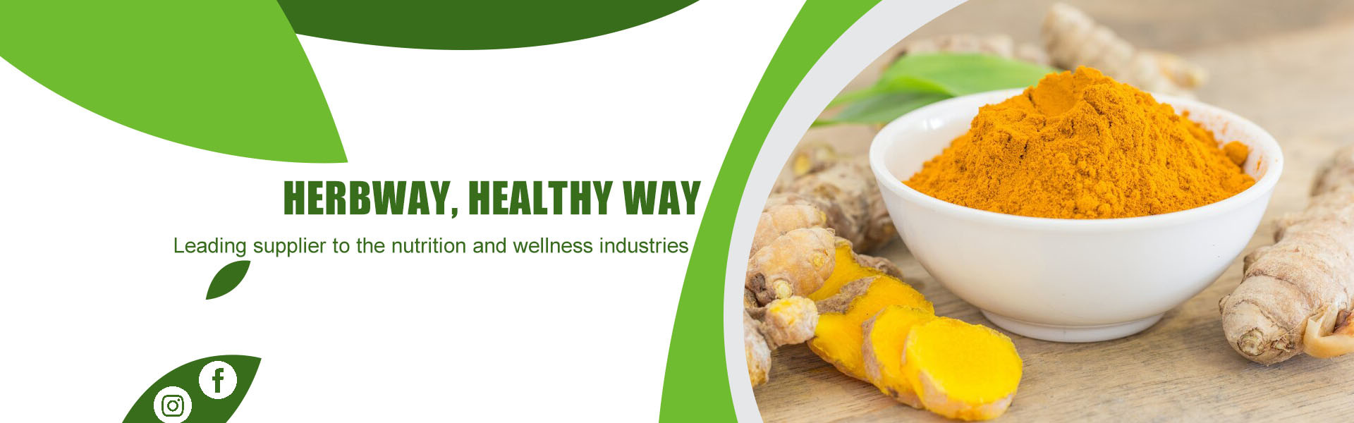 Qualität Pflanzenextraktpulver usine