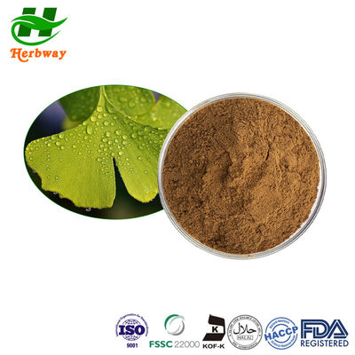 quality Ginkgo-Biloba-Extrakt / Ginkgo-Extraktpulver CAS 90045-36-6 factory