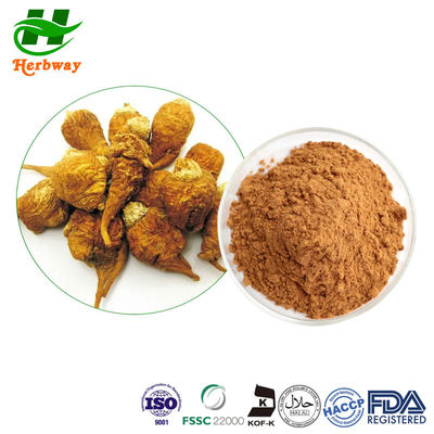 quality Knochengesundheit Tongkat Ali Extraktpulver Macawurzel Extraktpulver factory